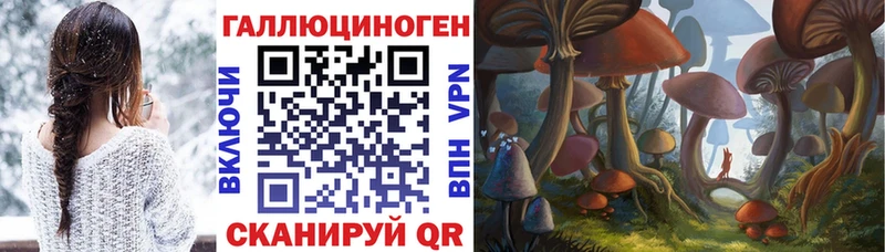 наркотики  Иланский  Псилоцибиновые грибы Psilocybe 