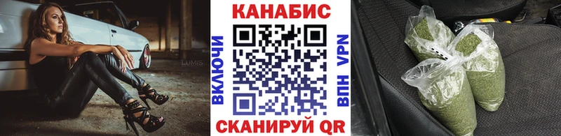 Бошки марихуана сатива  ОМГ ОМГ зеркало  Иланский 